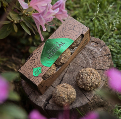 bomba herbal xl Sagrada madre - comprar online