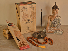 Tibetanos aromanza en internet