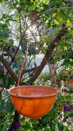 Maseta Tulipán Terracota