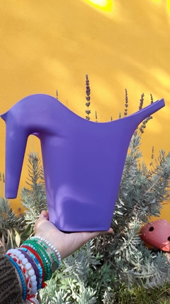 Violeta 