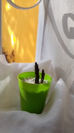 Verde manzana