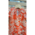 Vestido Karina coral na internet