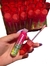Gloss de sandia