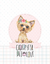 Caderneta Pet Love YorkiShire