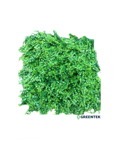 Modulo Premium Jade