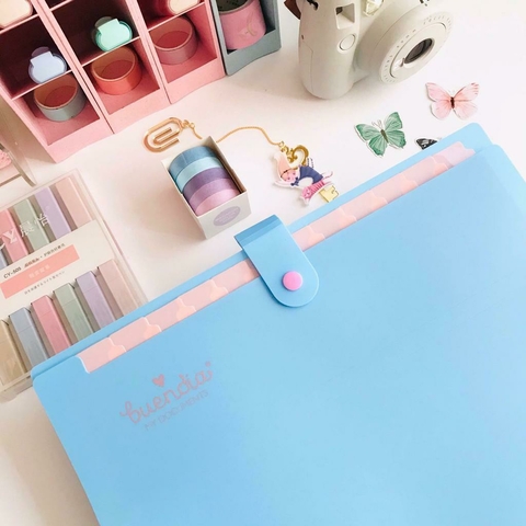 Pasta Sanfonada 12 divisórias