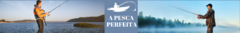 Banner da categoria Acessórios