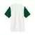 Camisa Palmeiras II 25/26 - Puma Torcedor Masculina - Branco e Verde