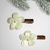 Flor de Natal