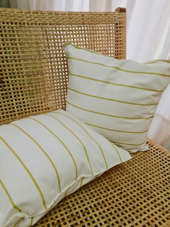 Imagen de Almohadones Tusor 60x60cm
