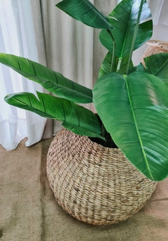 Planta Artificial Decorativa Grande - comprar online