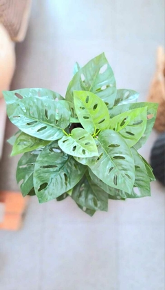 Planta Artificial Monstera en internet