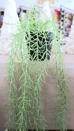 Plantita Artificial Colgante