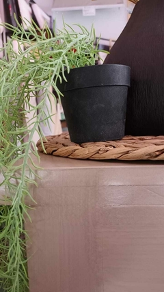 Plantita Artificial Colgante en internet