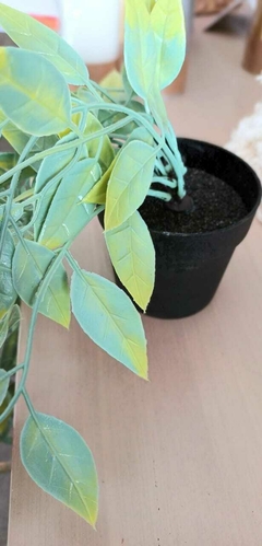 Planta Colgante Eucalipto Artificial - comprar online