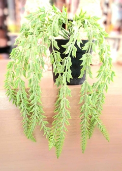 Suculenta Artificial Colgante