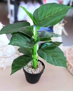 Amoena Artificial Con maceta