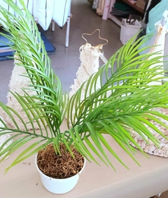Areka Palmera Artificial