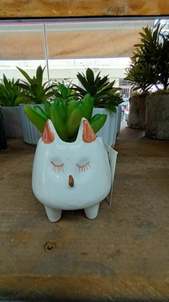 Mini macetita Gatito+ planta artificial