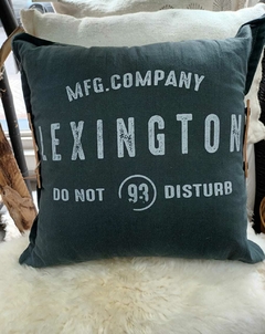 Almohadon 50x50 Con Aplique - comprar online