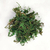 MUSGO DECORAÇÃO 30g