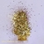 GLITTER 040 OURO IRIDESCENTE 2,5g - EMERSON NOGUEIRA