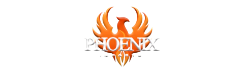 CAMISAS DE FUTEBOL - Phoenix Sports