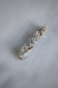 Hebilla Mini Snow - comprar online