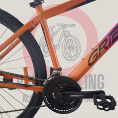 GRIBOM R.29 - comprar online