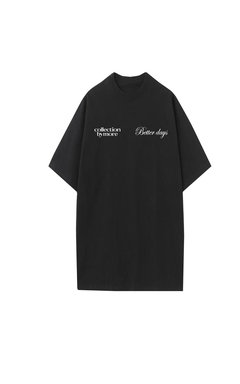 Remera basik btd (gris)