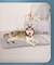 Caminha pra cachorro antiderrapante Hero Dog - GHS VENDAS
