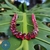 Gargantilha de Cristal – Banho de Ouro 18K - comprar online