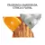 Wella Professionals Invigo Color Brilliance - Shampoo 250ml - loja online