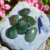 Agata Verde Rolada - Grande - Love Me Presentes