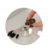 Copinho Dappen Vidro Henna Unhas Alongamento - X&D - Love Me Presentes