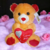 Pelúcia Marrom Love You - comprar online