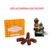 NAG CHAMPA Goloka Cone Cascata - Incenso Indiano - comprar online