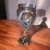 Taça de vinho Dragão Medieval