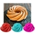 Forma Assadeira de Silicone Espiral mini - Arizona Store