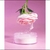 Po pink power Dapop na internet