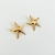 Imagen de Aretes de Estrella de mar acero inoxidable