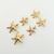 Aretes de Estrella de mar acero inoxidable - Yas Store