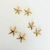 Aretes de Estrella de mar acero inoxidable en internet