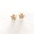 Aretes de estrellita