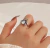 Anillo de araña en internet