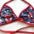 Top spiderman polar