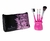 Kit 3 Pincéis,1 Pente Escova Cílios, Necessaire Porta Pincel