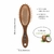 Kit 1 Pente De Cabelo E 2 Escovas Coleção Coconut Marco Boni na internet