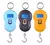 Balanza Digital Portátil De Mano Hasta 50 Kg. Valija Pesca Color Negro