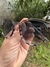 LENTES RB2204 en internet